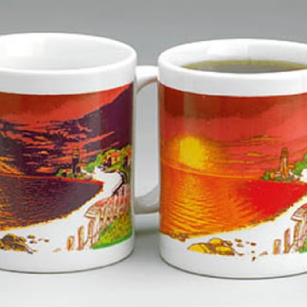 Wondermug Coffee Cup Heat Activated Design / Picture Charging Mug Autumn Fall